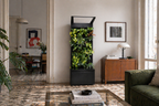 Sphera Mini - Purificatore d'aria Naturale