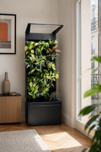 Sphera Mini - Purificatore d'aria Naturale