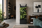 Sphera Mini - Purificatore d'aria Naturale