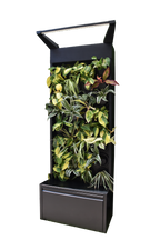 Sphera Mini - Purificatore d'aria Naturale