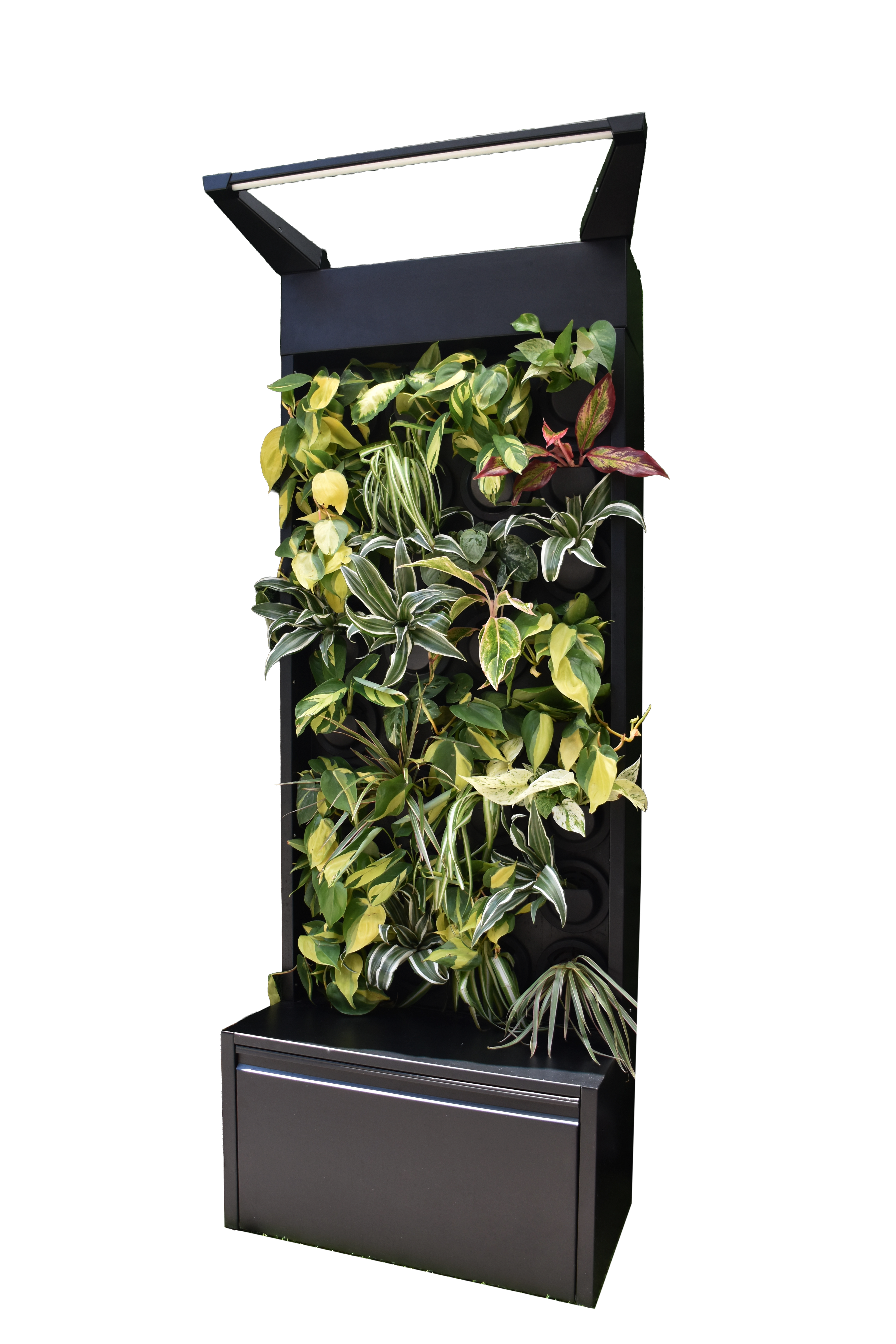 Sphera Mini - Purificatore d'aria Naturale